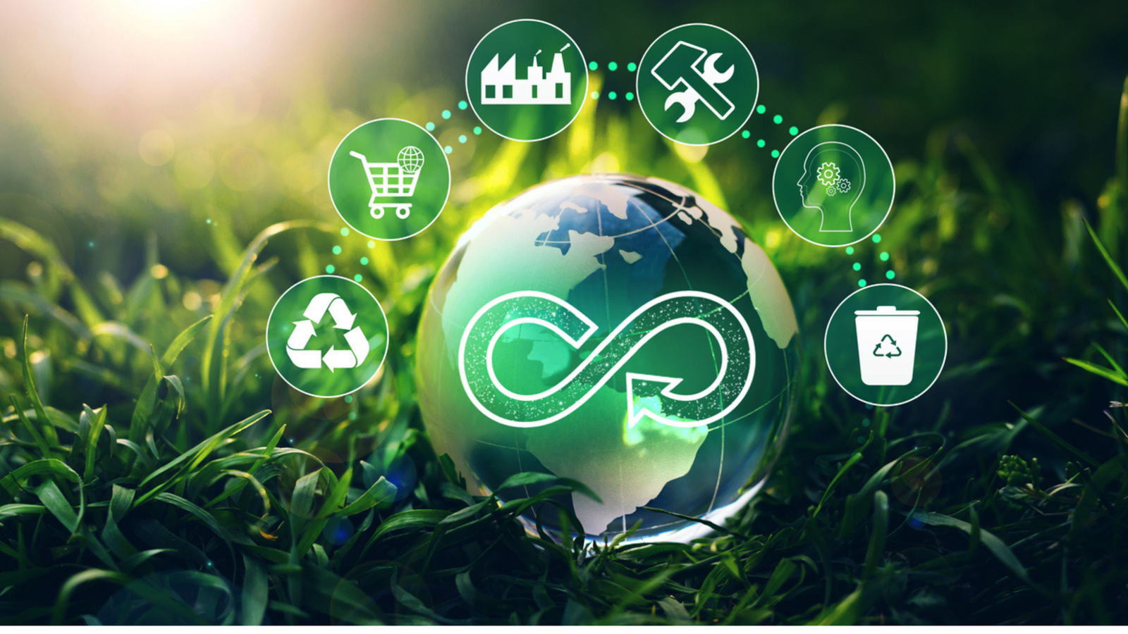 Environment & Sustainability Consulting