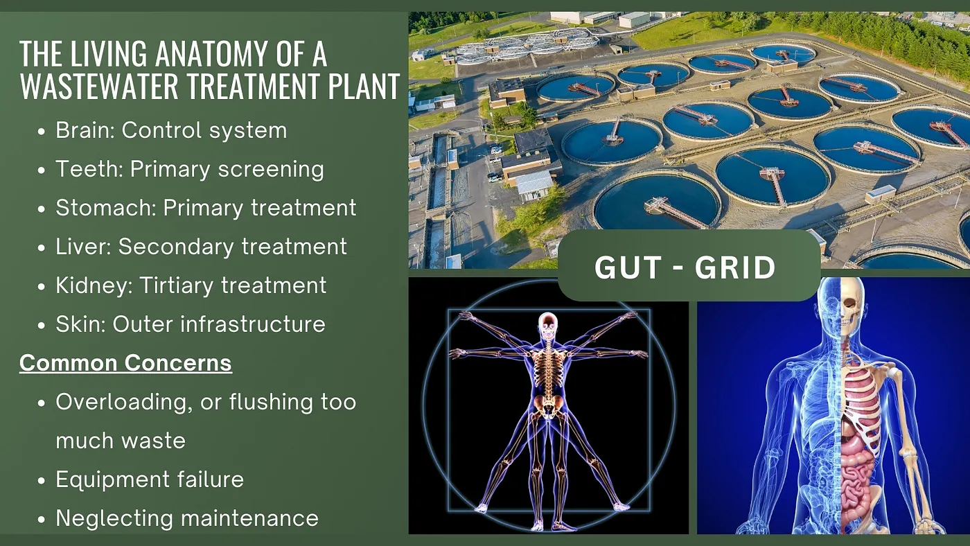 Gut to Grid